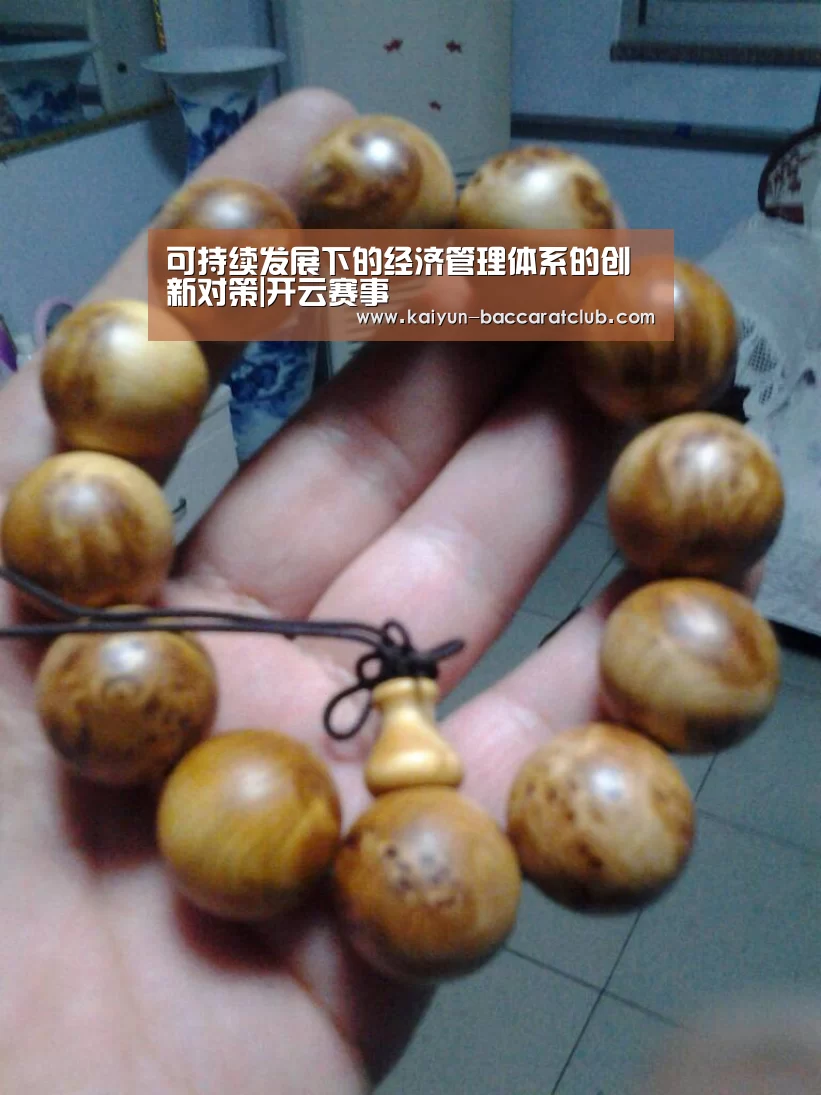 可持续发展下的经济管理体系的创新对策|开云赛事(图1) 开云体育
