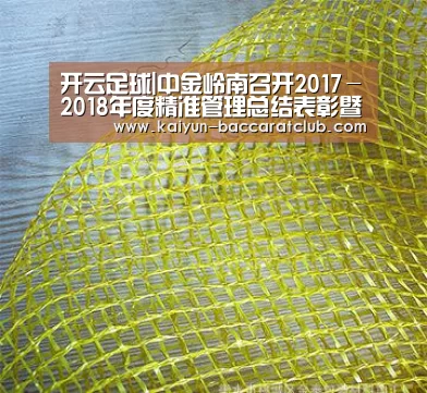 开云足球|中金岭南召开2017-2018年度精准管理总结表彰暨2019年度降本增效工作推进会(图2) 开云篮球