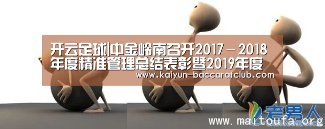 开云足球|中金岭南召开2017-2018年度精准管理总结表彰暨2019年度降本增效工作推进会(图1) 开云赛事
