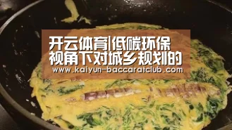 开云体育|低碳环保视角下对城乡规划的几点思考(图2) 开云篮球