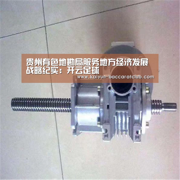 贵州有色地勘局服务地方经济发展战略纪实:开云足球(图1) 开云体育