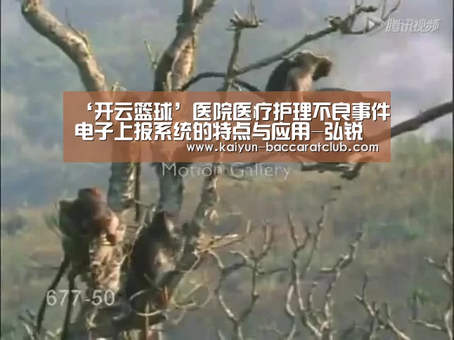 开云足球