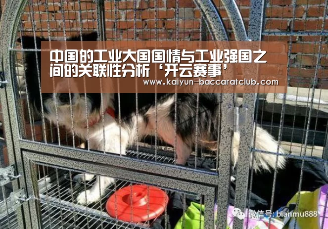 中国的工业大国国情与工业强国之间的关联性分析‘开云赛事’(图4) 开云篮球